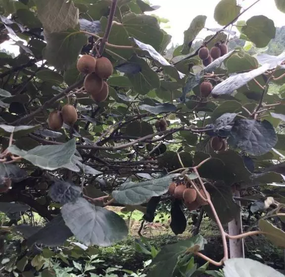 ホテル Eight Lucky Homestay