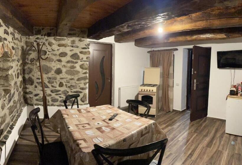 بنسيون Casa De Sub Salcie