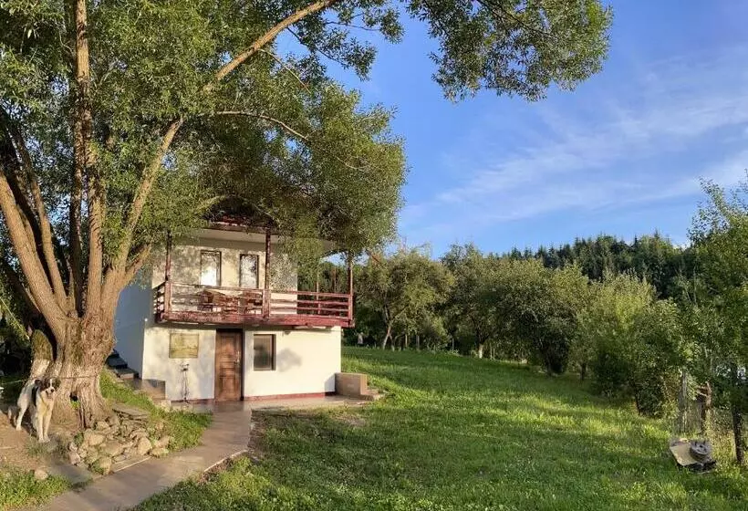 ペンション Casa De Sub Salcie