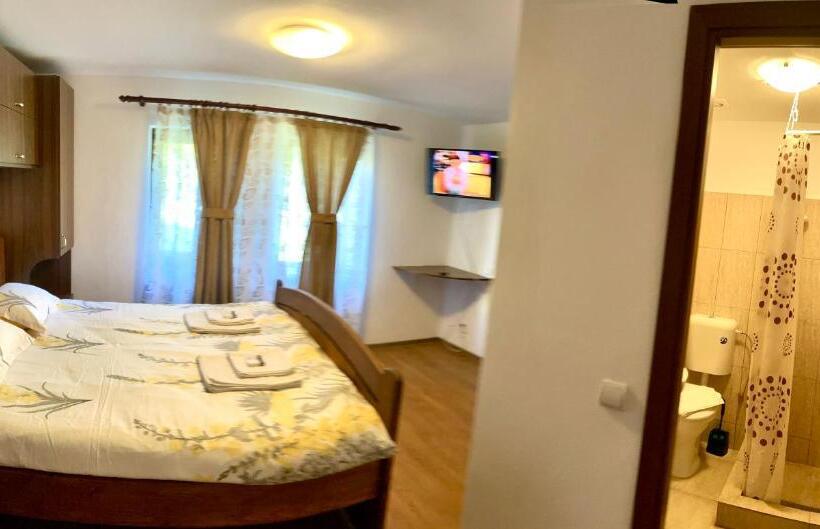 بنسيون Casa De Sub Salcie