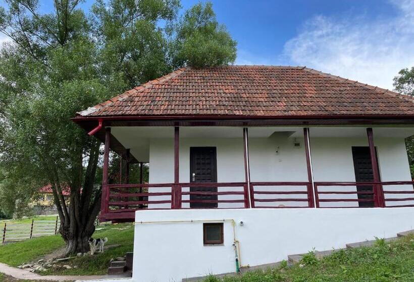 بنسيون Casa De Sub Salcie