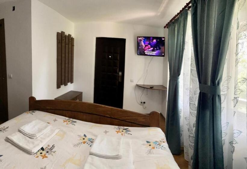 بنسيون Casa De Sub Salcie