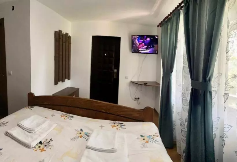 ペンション Casa De Sub Salcie