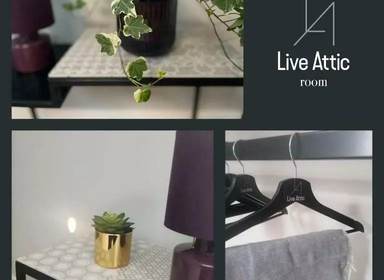 ベッドアンドブレックファースト Live Attic Room