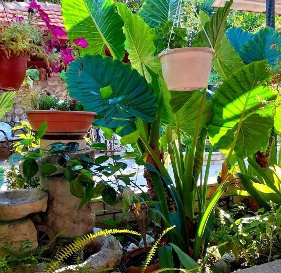 Пансион Guesthouse Gavrilović 28 A