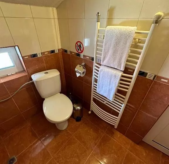 ペンション Pirin Rooms