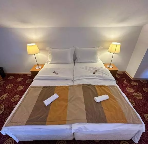 ペンション Pirin Rooms