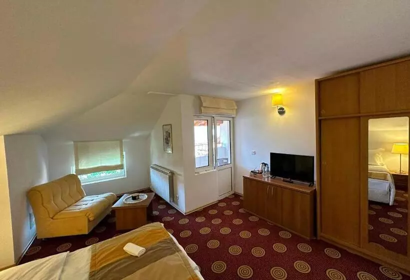 ペンション Pirin Rooms