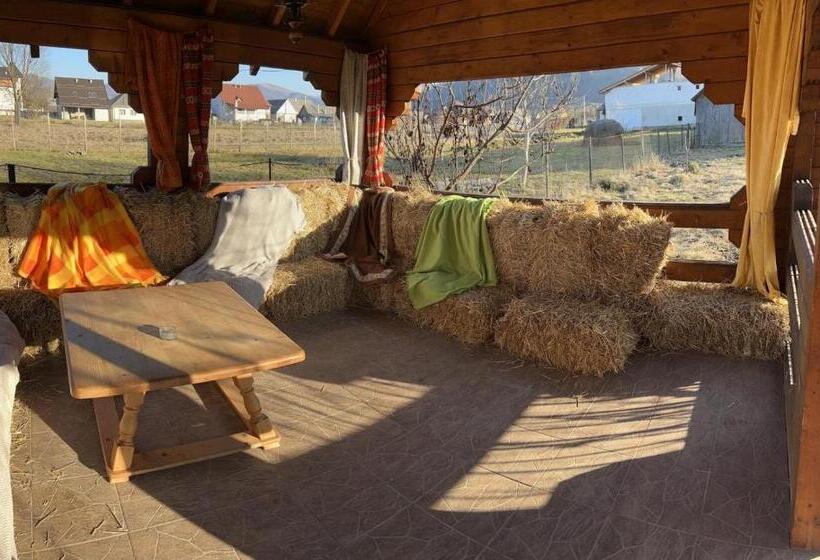 פנסיון Vila Boema