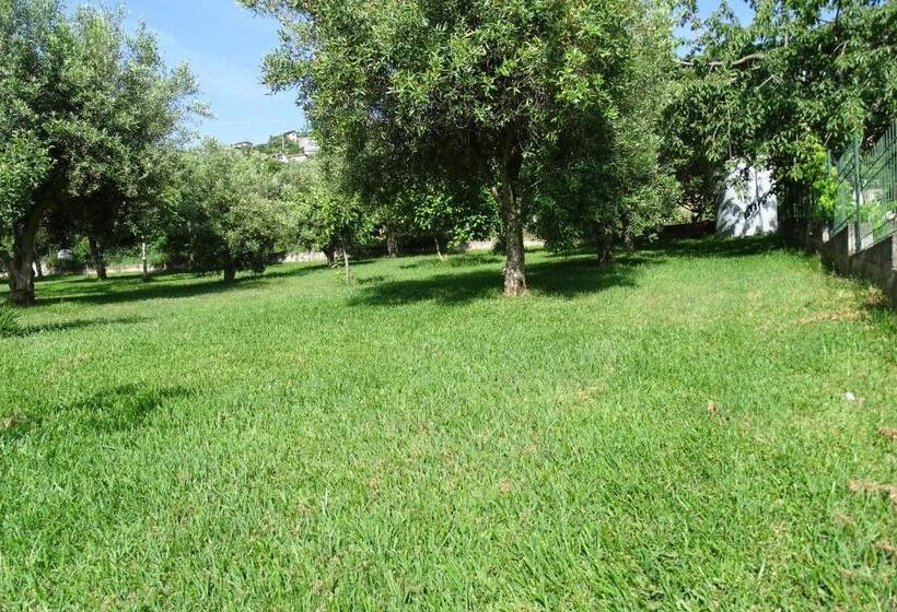 B&b Nucria   Nocera Terinese