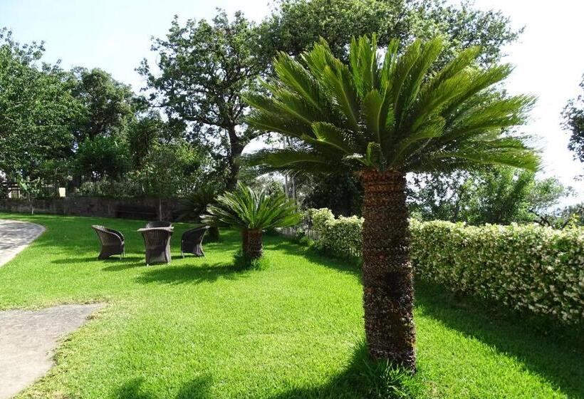 B&b Nucria   Nocera Terinese