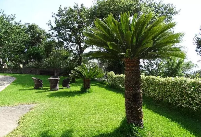 B&b Nucria   Nocera Terinese