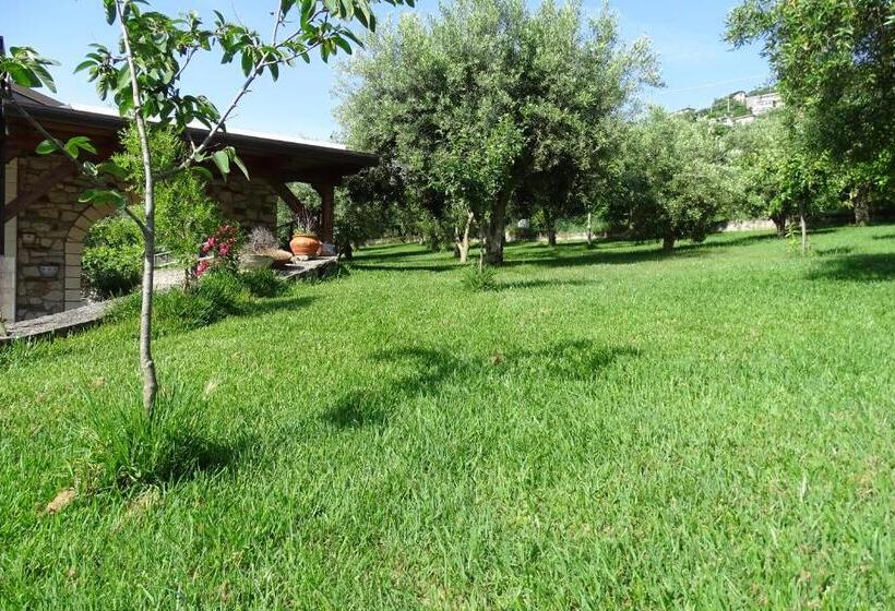 B&b Nucria   Nocera Terinese