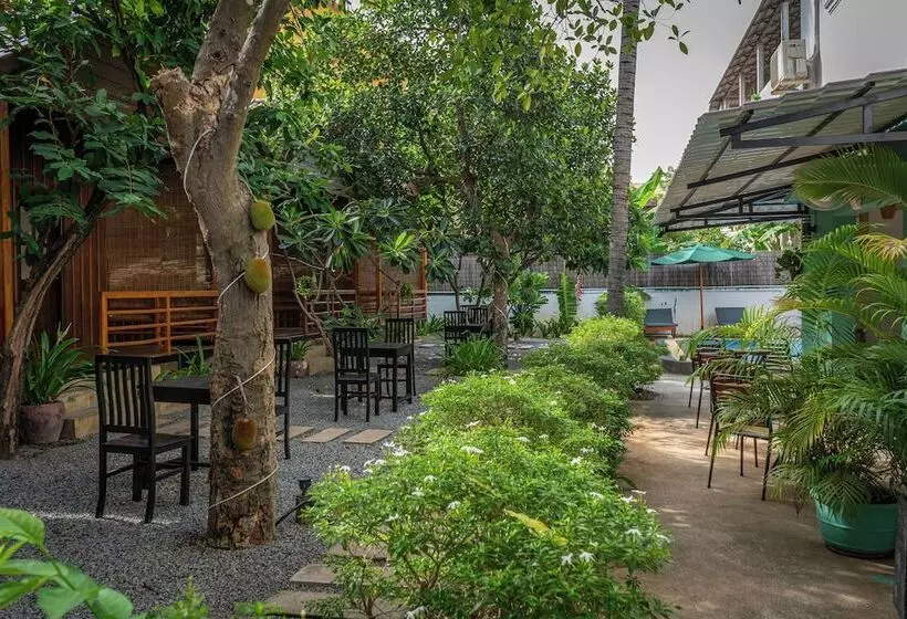 تختخواب و صبحانه Habana Angkor Boutique