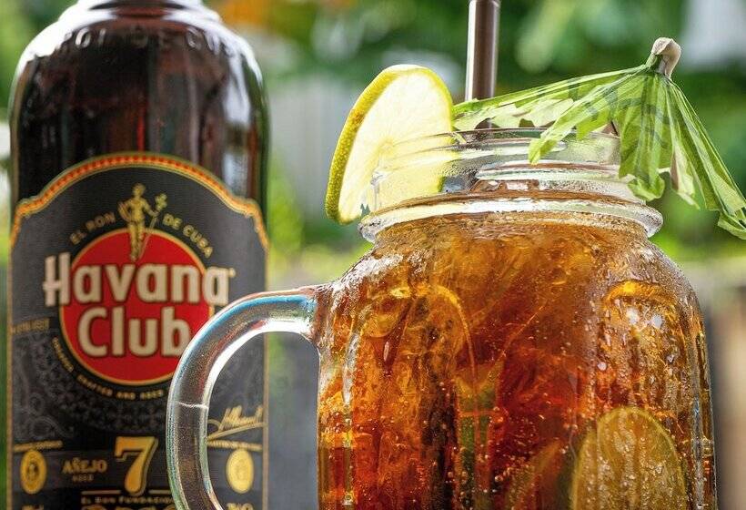 تختخواب و صبحانه Habana Angkor Boutique