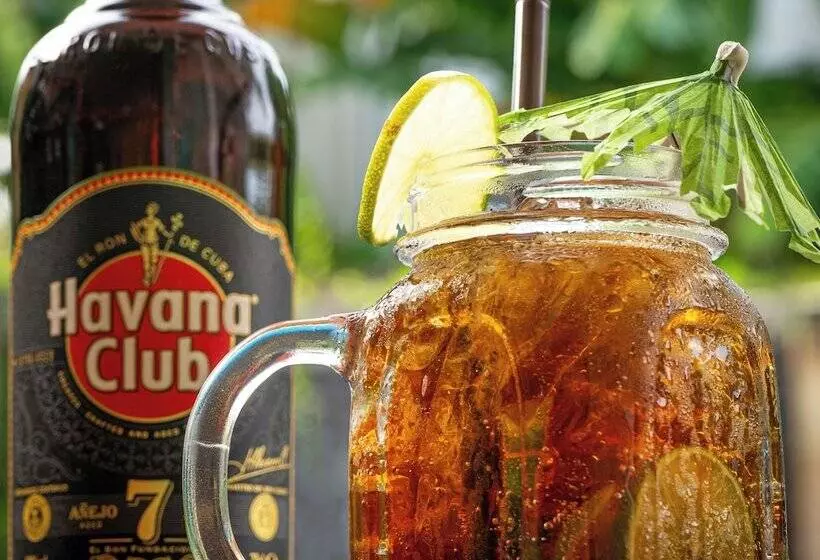تختخواب و صبحانه Habana Angkor Boutique