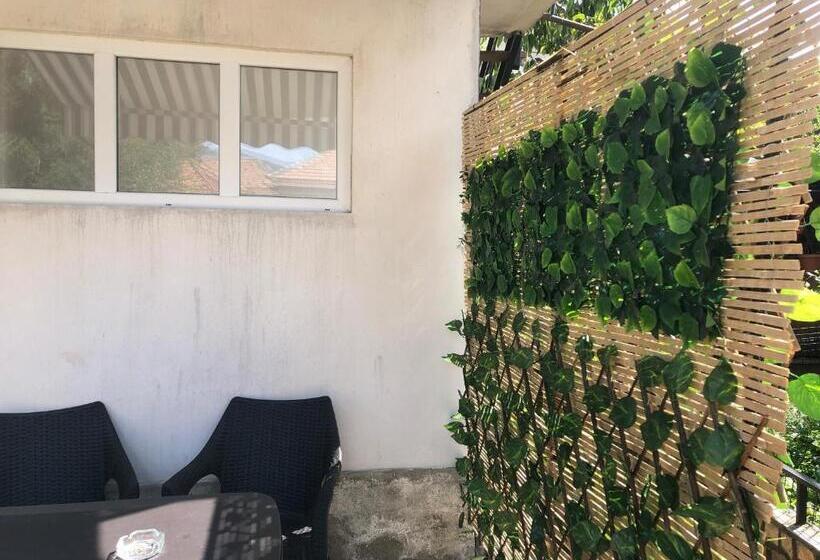 پانسیون Casa Decebal