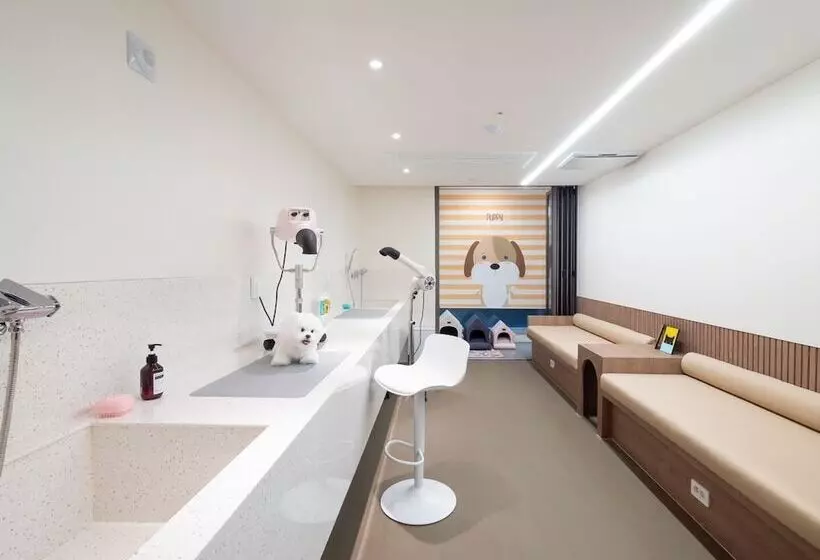 Allzip Archieve4h Residence Hotel Busan