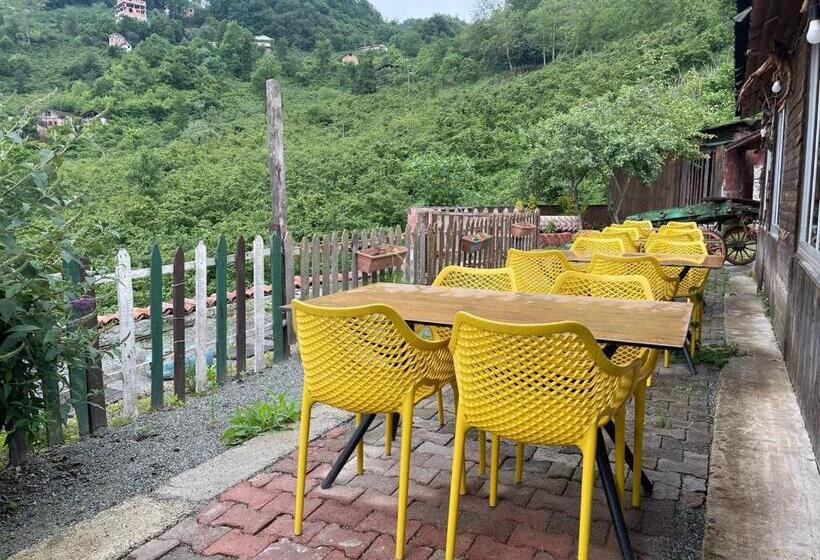 צימר Karadeniz Kuş Cenneti Kaşıkçı