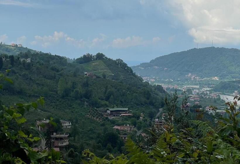 צימר Karadeniz Kuş Cenneti Kaşıkçı