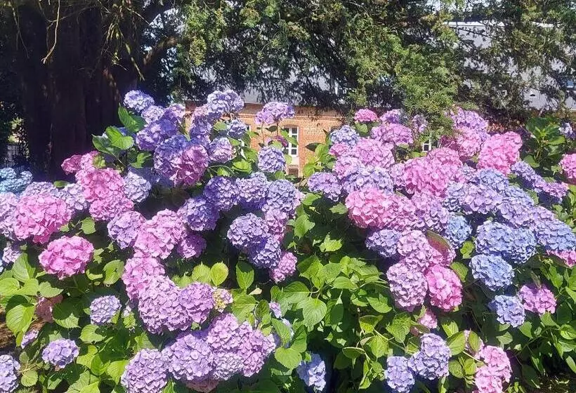 Aamiaismajoitus (B&B) Gîte, Le Séchoir à Lin Demeure De Charme