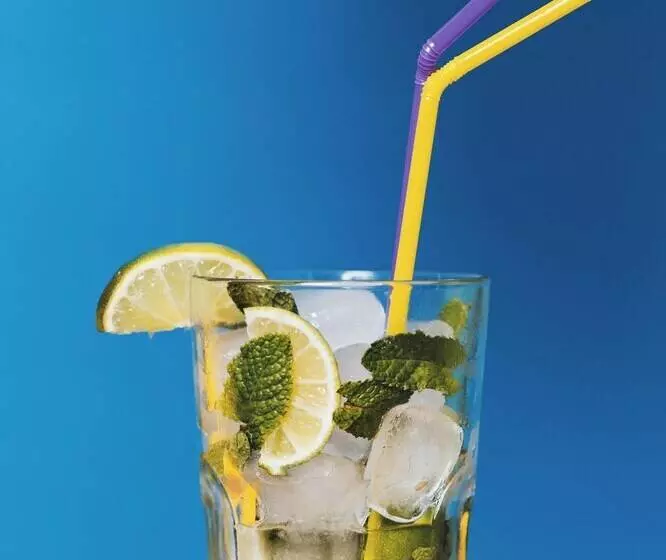 Hotelli Roomshala 095 Shyam Villa