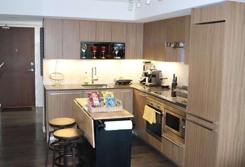 Beautiful Downtown Toronto Condo
