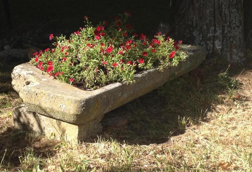 Grand Hotel Vallombrosa