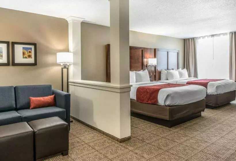 ホテル Comfort Suites Dunnellon Near Rainbow Springs
