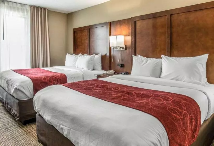 ホテル Comfort Suites Dunnellon Near Rainbow Springs