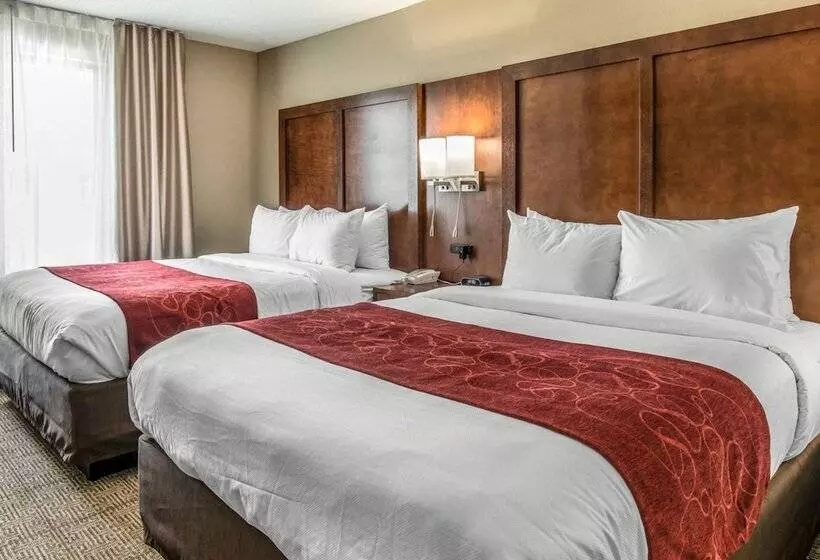 ホテル Comfort Suites Dunnellon Near Rainbow Springs