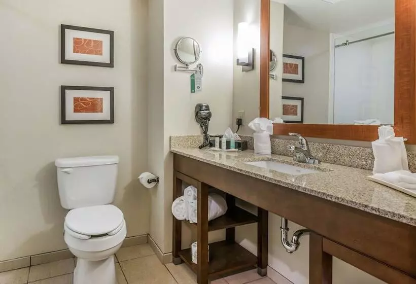 ホテル Comfort Suites Dunnellon Near Rainbow Springs