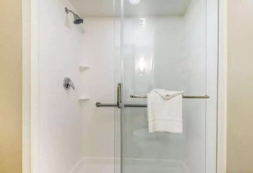 ホテル Comfort Suites Dunnellon Near Rainbow Springs