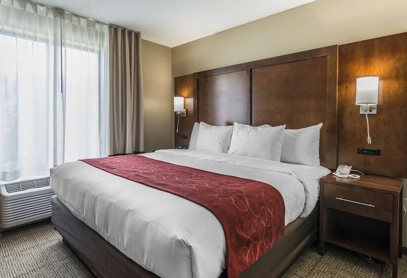 Отель Comfort Suites Dunnellon Near Rainbow Springs