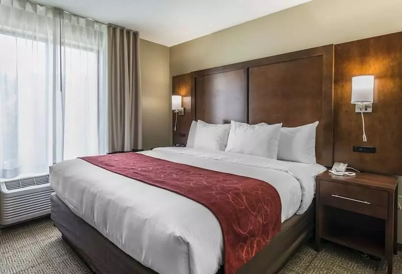 ホテル Comfort Suites Dunnellon Near Rainbow Springs