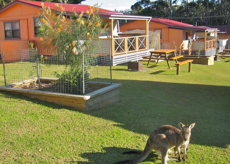 Отель Durras Lake North Holiday Park