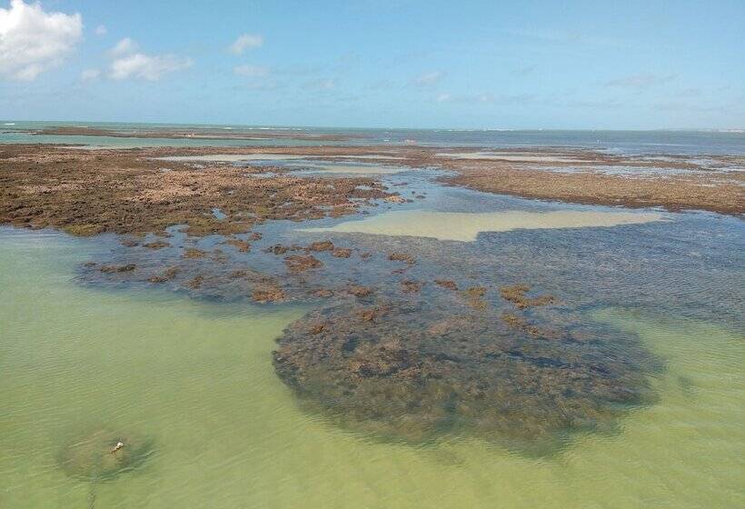 Otel Pousada Dos Girassóis