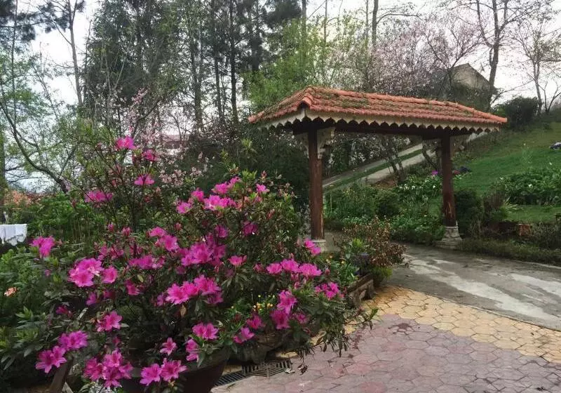 هتل Sapa Garden Bed And Breakfast