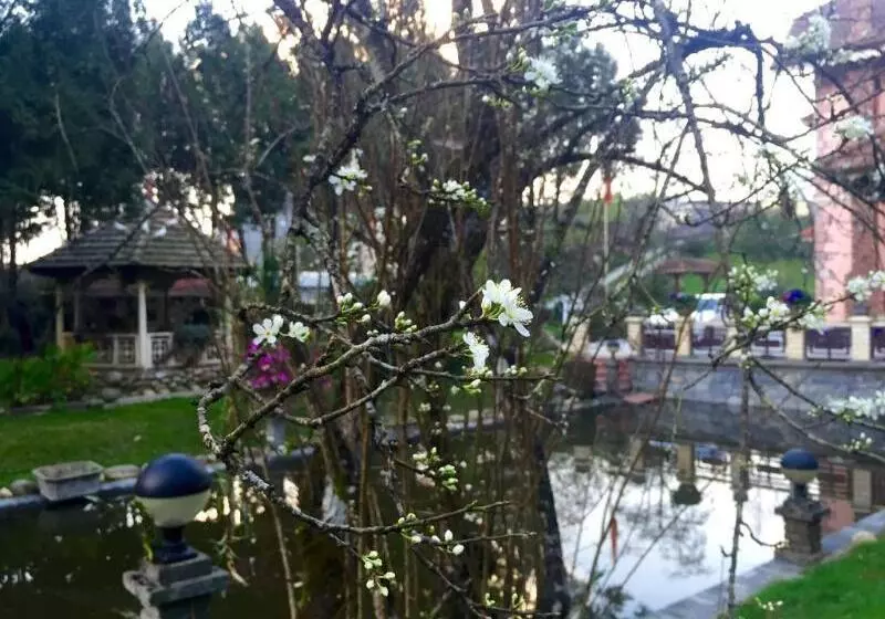 هتل Sapa Garden Bed And Breakfast