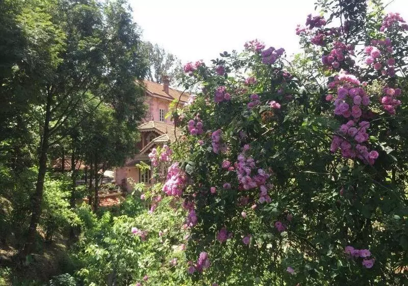 هتل Sapa Garden Bed And Breakfast
