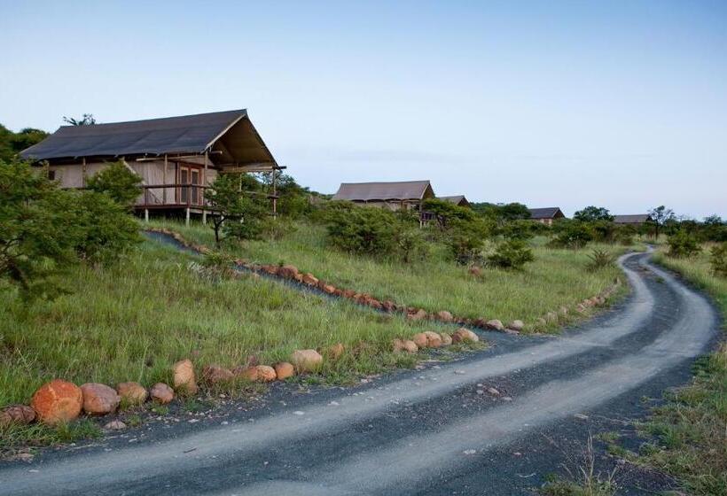 ホテル The Springbok Lodge