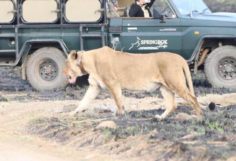 ホテル The Springbok Lodge