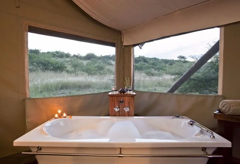 Hotelli The Springbok Lodge