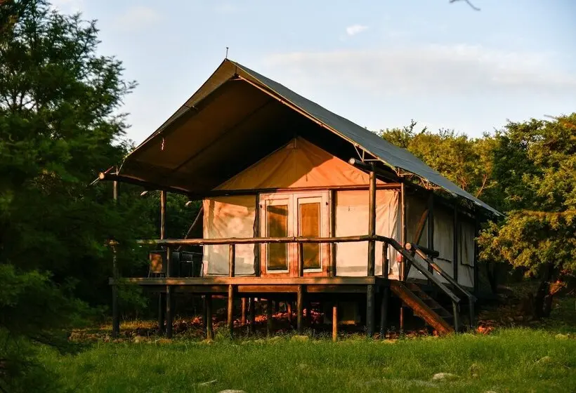 Hotelli The Springbok Lodge