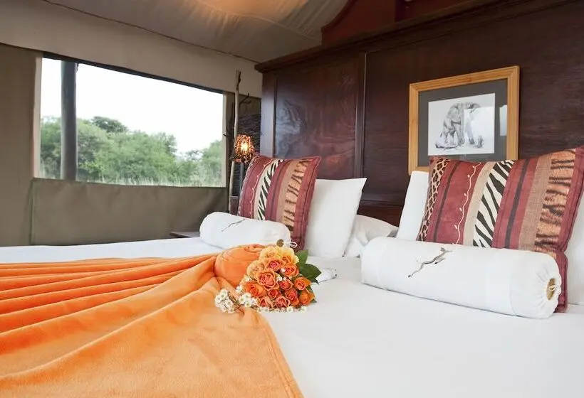 Hotelli The Springbok Lodge