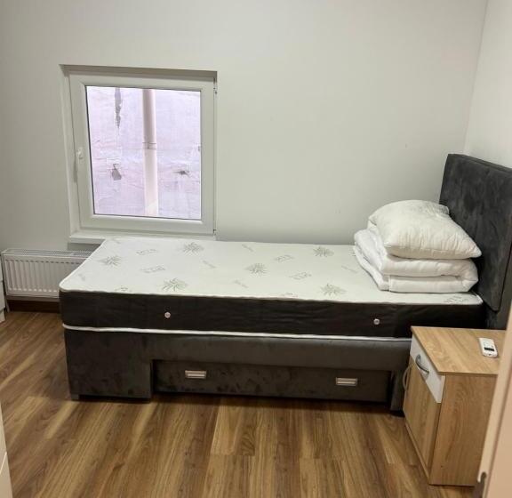 پانسیون Big House