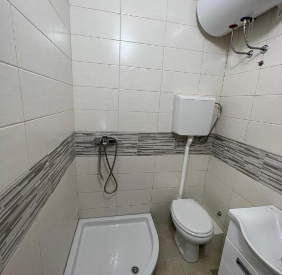 پانسیون Big House