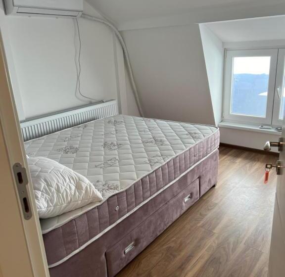 پانسیون Big House