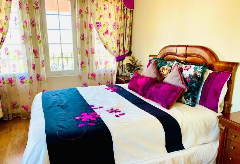 住宿加早餐 Casa Rural Mirador Del Olivar