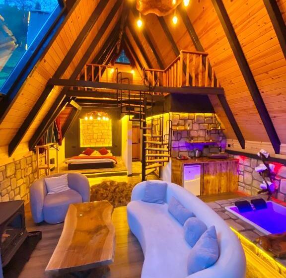 פנסיון İnoravadi